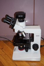 Hund Binokular Mikroskop  H600/12  BS + Kamera Tupec E31SPM