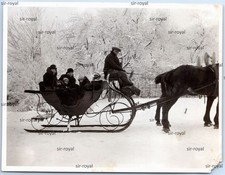 Familie auf Pferdeschlitten im