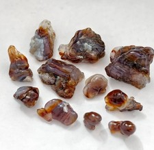 Natürlicher mexikanischer