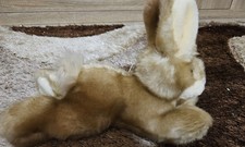 Steiff Hase Liegend 24cm
