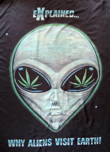 Cannabis marijuana ganja gras - cannabis,