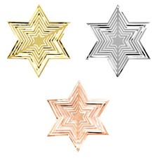 Weihnachtsstern 3D Stern aus