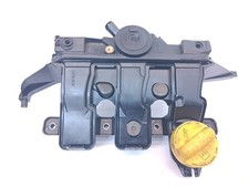 Ansaugbrücke 118301003R