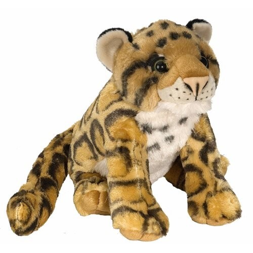 Wolkenleopard wild republic - -,