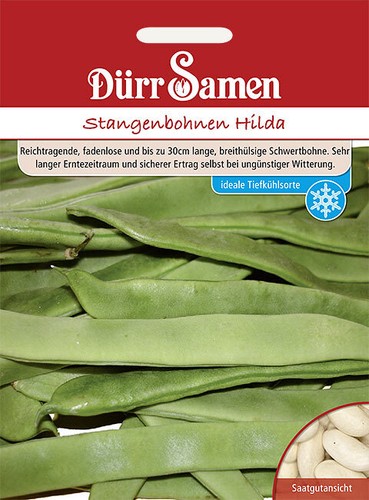 Stangenbohnen hilda saatgut - hilda,