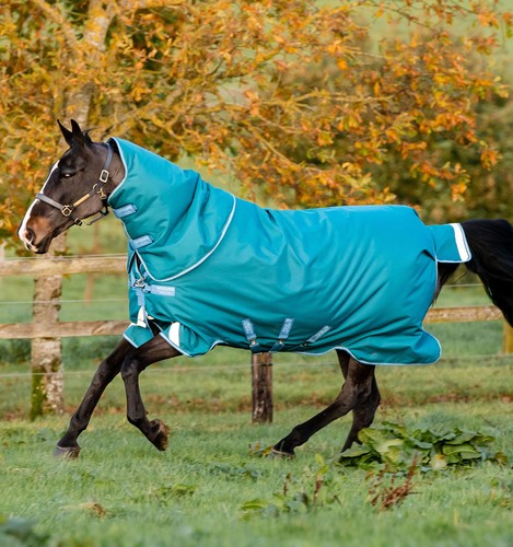 Horseware amigo bravo - amigo, 12