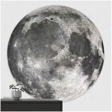 FoLIESEN - Wandaufkleber - Türaufkleber I selbstklebendes Poster I Wandbild Mond