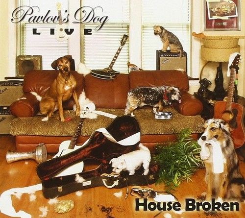 Pavlov dog house - pavlov's,