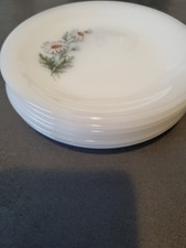 Teller Set  6 Person