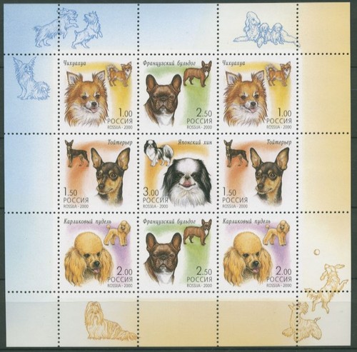 Russland 2000 hunde zwergpudel - russland,