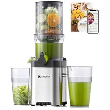 Effizienter Slow Juicer mit