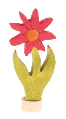 Grimm stecker aster - ,
