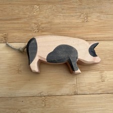 Ostheimer, Schwein Gefleckt, Kopf Hoch