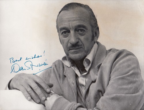 David niven 18x24 - niven, cm