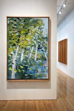 TOM KORS "THE WIND IN THE