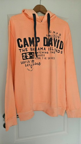 Camp david sweatshirt - camp, mit
