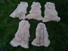 Echte Öko Schaffelle Lammfell