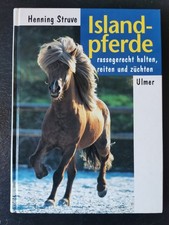 Islandpferde rassegerecht