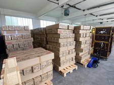 50x Künstliche Strelitzie