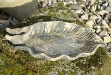 Vogeltränke,zwei kleine