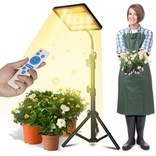 Vollspektrum blumen - vollspektrum,