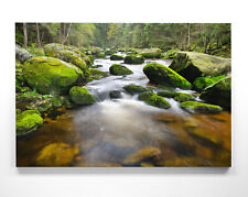 Atemberaubende Wald Motive als