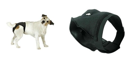 Hund schutzhose bei hitze der - hund,