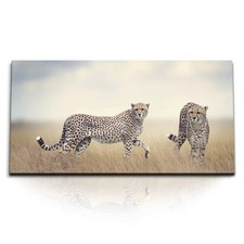 120x80cm kunstdruck bilder - kunstdruck,