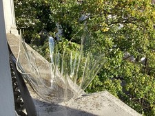 Schale Fazzoletto Vase Plexi /