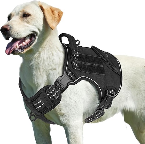 Hundegeschirr grosse hunde no - hundegeschirr, hunde,