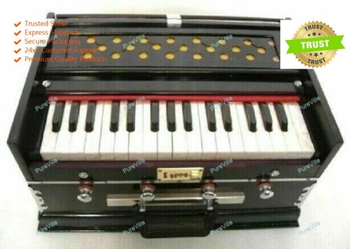 Indisches musikinstrument - indisches,