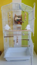 2x Vogel-Spielplatz & 1x Vogelkäfig Wellensittich Kanarienvögel (inkl. Zubehör)