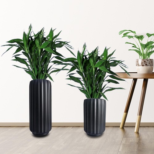 Moderne hohe bodenvase für - moderne,,