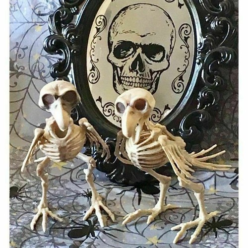 Horror vogelskelett krähe - horror,