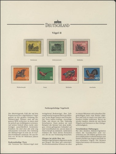Vögel komoran storch - vögel:, komoran,