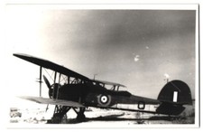 Fotografie Doppeldecker - Flugzeug der Royal Navy mit Tarnlackierung 