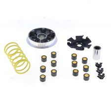 Variomatik Variator Speedmatic