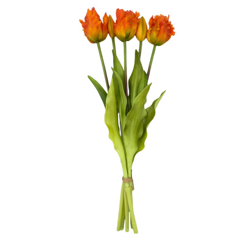 Silikon papagei tulpe - silikon,