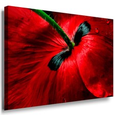 Wandbild Mohn Blume rot schwarz 150x100cm maxi Leinwand Bild Wohnzimmer c-8-7143