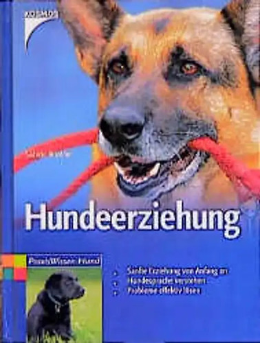 Hundeerziehung