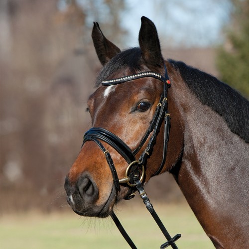 Kieffer trensenzaum comfort - kieffer,