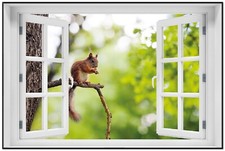 Wallario Poster mit Fenster-Illusion Eichhörnchen auf einem Ast
