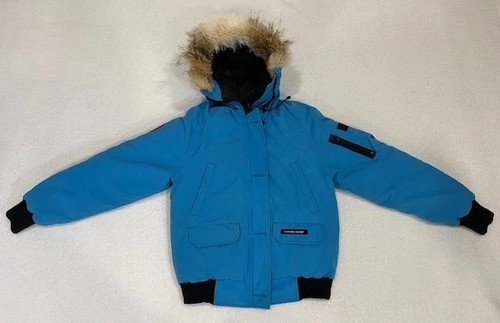 Canada goose chilliwack - goose,