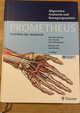 PROMETHEUS Anatomie