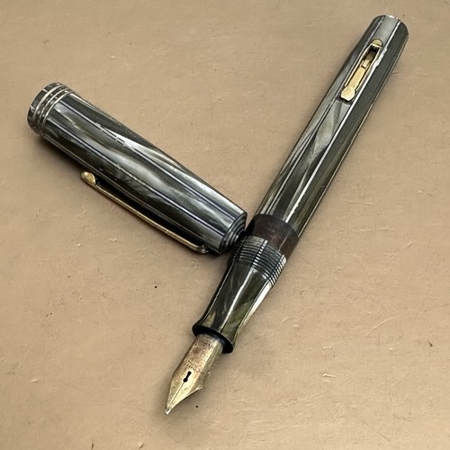 Waterman ink view - waterman,