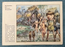 Natur-Bilder + Berliner