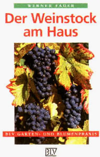 Der weinstock haus - der,