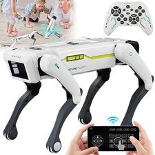 Intelligenter Roboter Hund mit