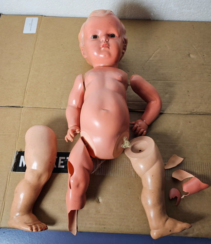 Schildkrot vintage baby - schildkrot,