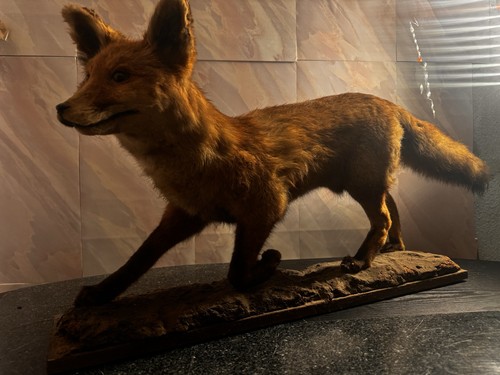 Fuchs dekofigur auf holzsockel - dekofigur,